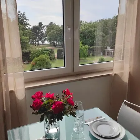 Sea View Apartment&park View Bruno Umago