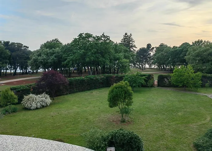 Sea View & Bruno *